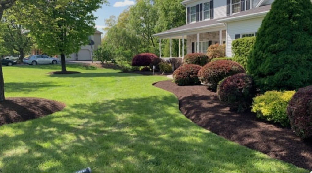 Precision Trimming and artistic pruning service by Green 4 Life in Delaware
